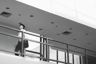 頂級安全評級的記錄，這款SUV只適合高顏值奶爸？