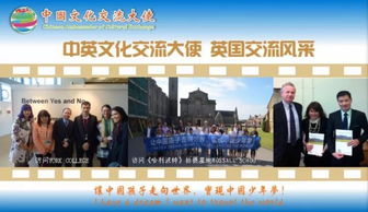 融匯中西，傳遞友誼——第五屆中國文化交流大使選拔活動組織策劃文化藝術交流活動紀實