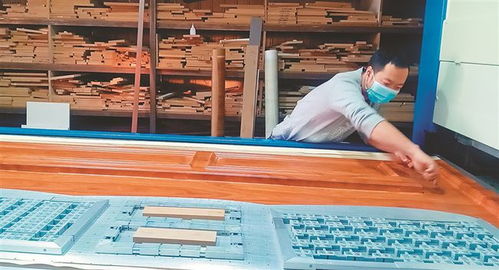 大慶 三產融合強根基，畜牧漁業飼料產業旺民生